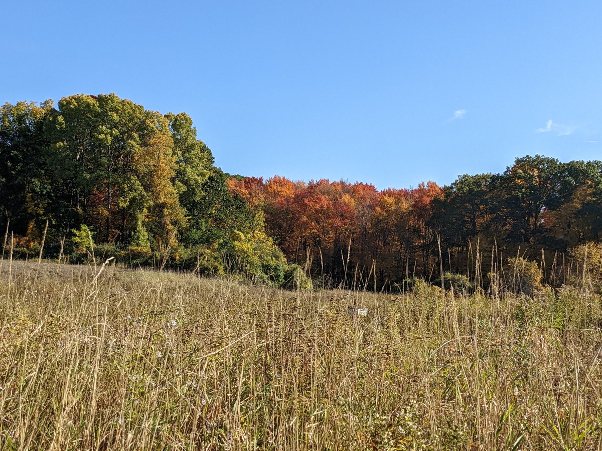 Gopal Narayanan tweet media