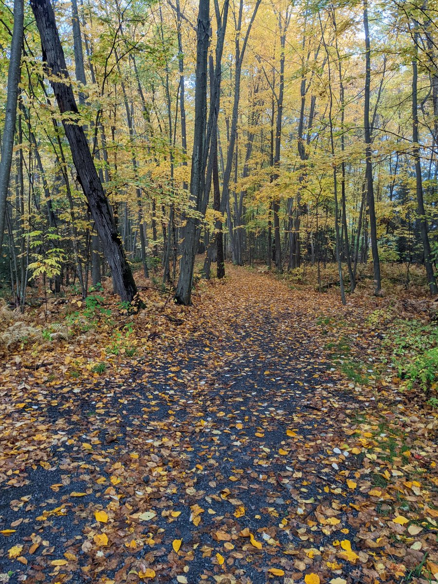 Gopal Narayanan tweet media