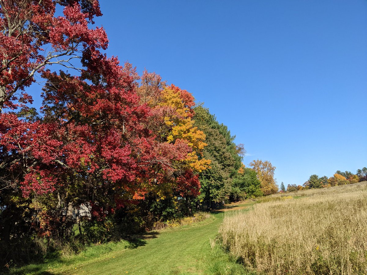 Gopal Narayanan tweet media