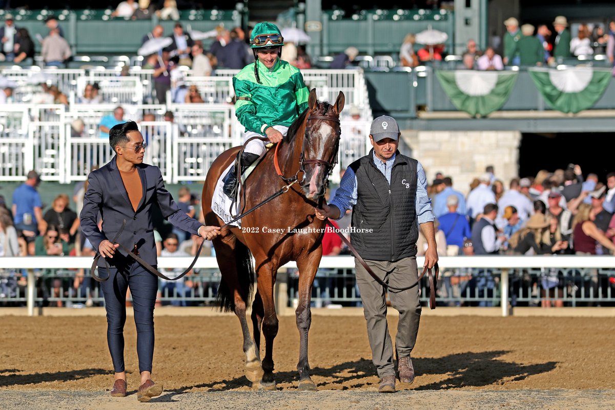 casey_laughter's tweet photo. #GinaRomantica (Into Mischief; @spendthriftfarm) wins the G1 QE II Challenge Cup at @keeneland for trainer #ChadBrown and owner #PeterBrant with jockey #FlavienPrat. @BloodHorse https://t.co/DoMedrBfyR