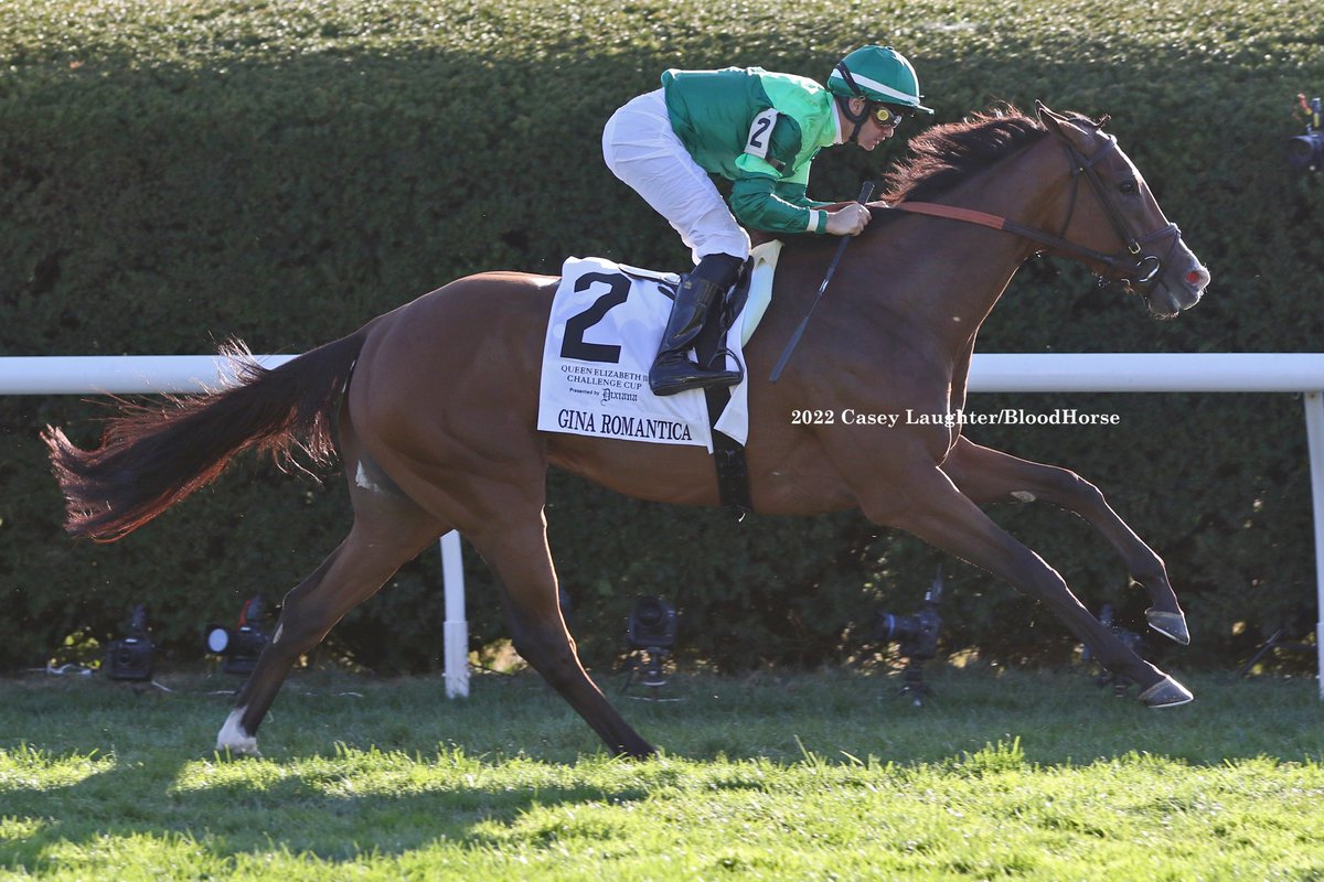 casey_laughter's tweet photo. #GinaRomantica (Into Mischief; @spendthriftfarm) wins the G1 QE II Challenge Cup at @keeneland for trainer #ChadBrown and owner #PeterBrant with jockey #FlavienPrat. @BloodHorse https://t.co/DoMedrBfyR