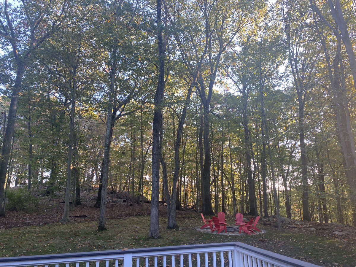 JulietteMPerez's tweet photo. CT weekend recharging. #fallbackyard https://t.co/oELpJJtSIE