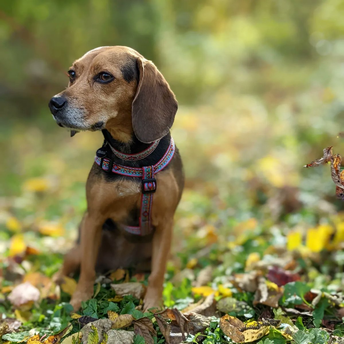 Jess Stein (@jessaminstein) on Twitter photo 