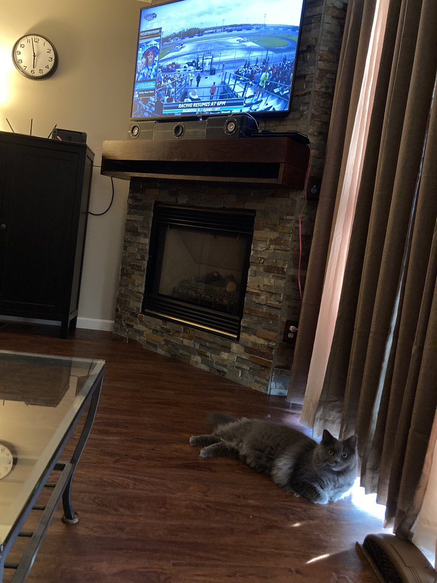 Nugget is ready and Watching from Ohio #cleetervision