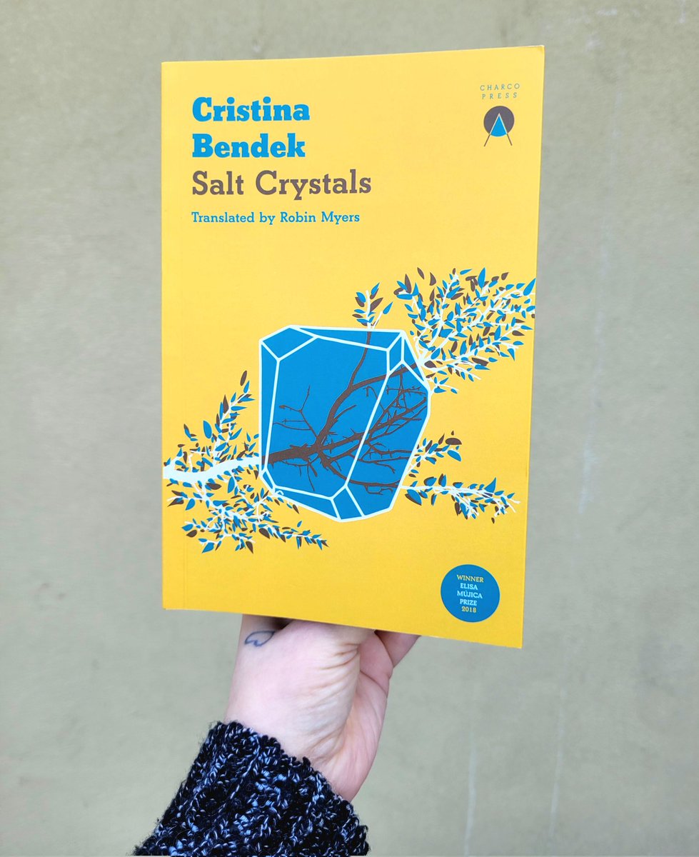 SALT CRYSTALS by Cristina Bendek and translated by Robin Myers @CharcoPress Another favorite this year!!!