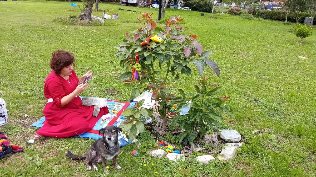 #DueloConDerechos 
Chester en el aguacatero de Rubén con sus cositas