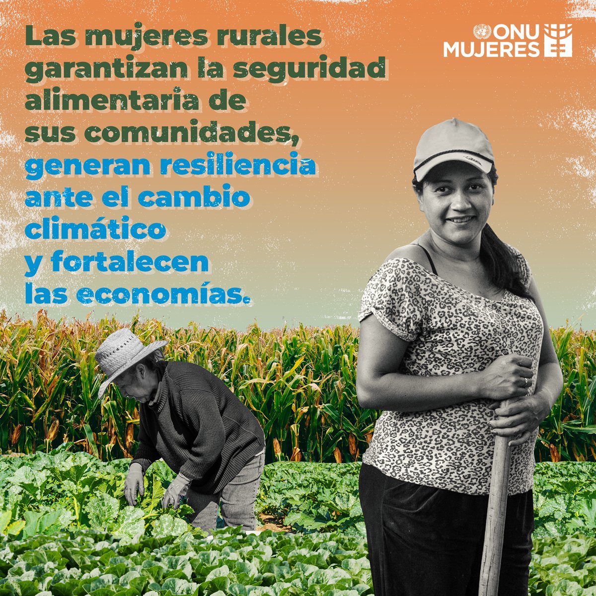 👩‍🌾 Las #MujeresRurales garantizan la seguridad alimentaria de sus comunidades, generan resiliencia ante el cambio climático y fortalecen las economías.​ Sin embargo, las desigualdades de género limitan su pleno potencial