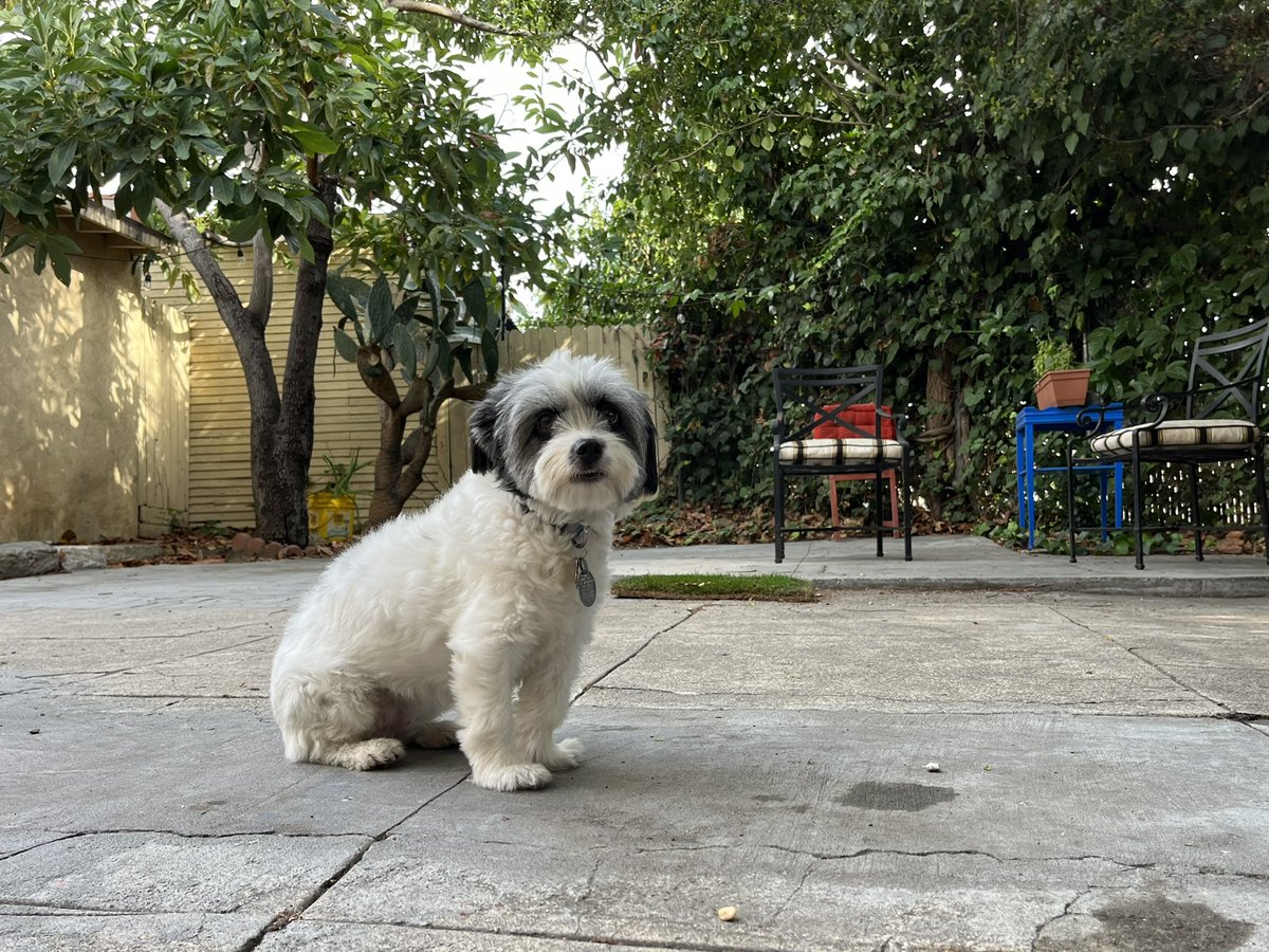 And I *also* get to spend the afternoon cleaning the yard with my favorite little helper?! Happy (Day Before) Birthday to me!