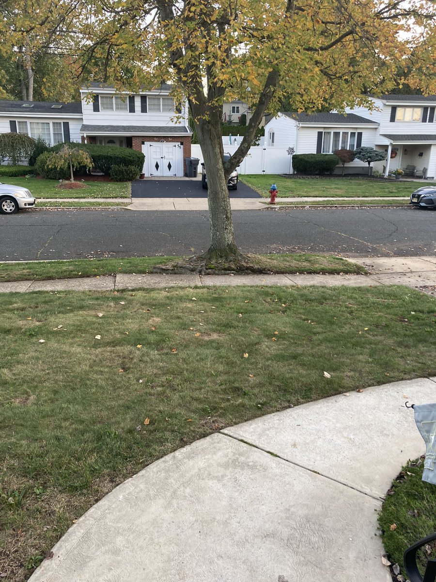KEllisFoster's tweet photo. Well, because of the curse someone put on me, apparently every leaf in OB decided to land on my lawn! Luckily 2 young OB entrepreneurs were by &amp; took care of it! Take that curse! https://t.co/dSdZziAaem
