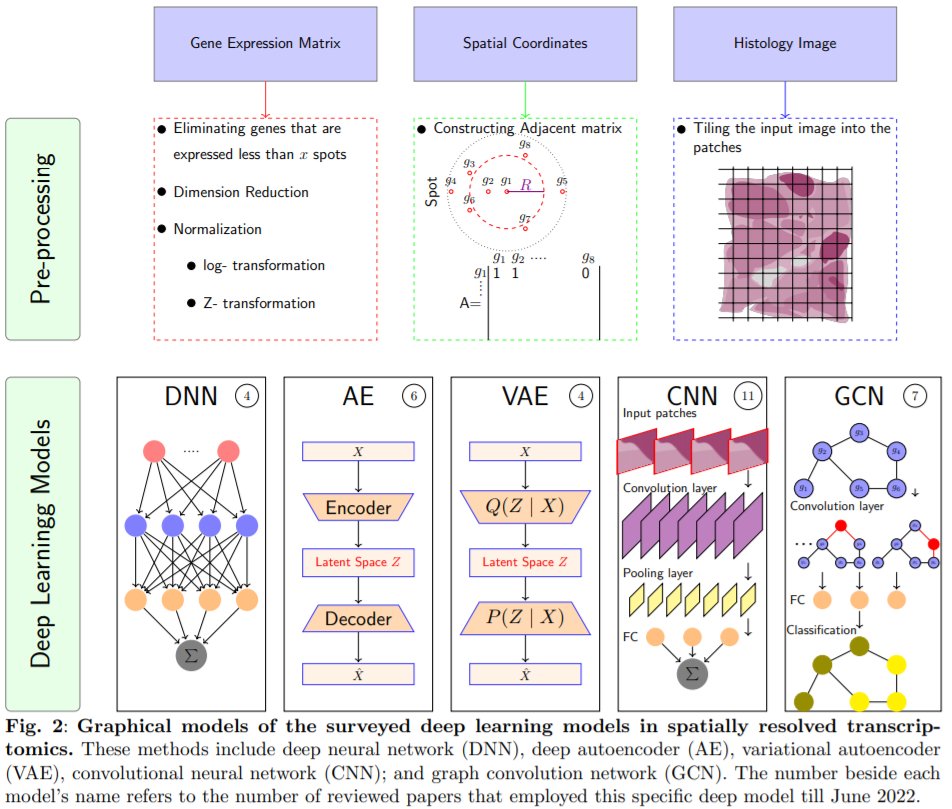 HamidRokny's tweet image. So happy to share this in-depth review on &quot;Deep Learning for Spatially-Resolved Transcriptomics&quot; come out from my Lab, written by my talented stu, Roxana Zahedi.
More appropriate DL are still needed for SRT.
arxiv.org/abs/2210.04453
Thanks @NOKaakoush @nigelhlovell @amin_beheshti!