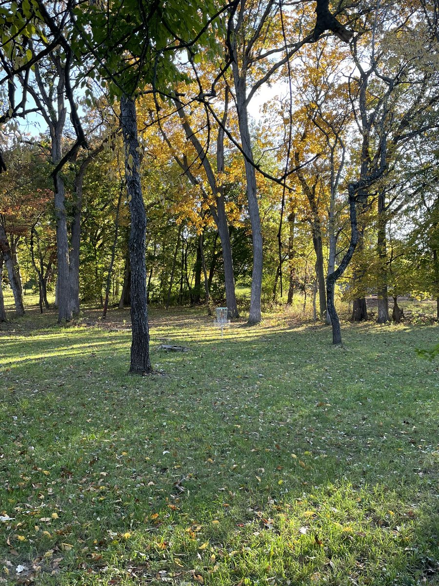 Fall Disc Golf 🍁