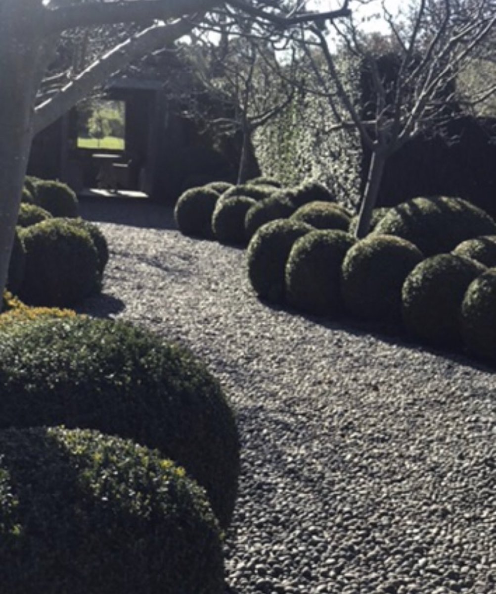 CostasGarden's tweet image. Topiary ? Is it your cup of tea. Cloud pruning is a garden art Soohie Thomson  @SophiesPatch is hedging her bets  with a specialist in cloud pruning #gardeningaustralia @ABCTV #cloudpruning #stonefields