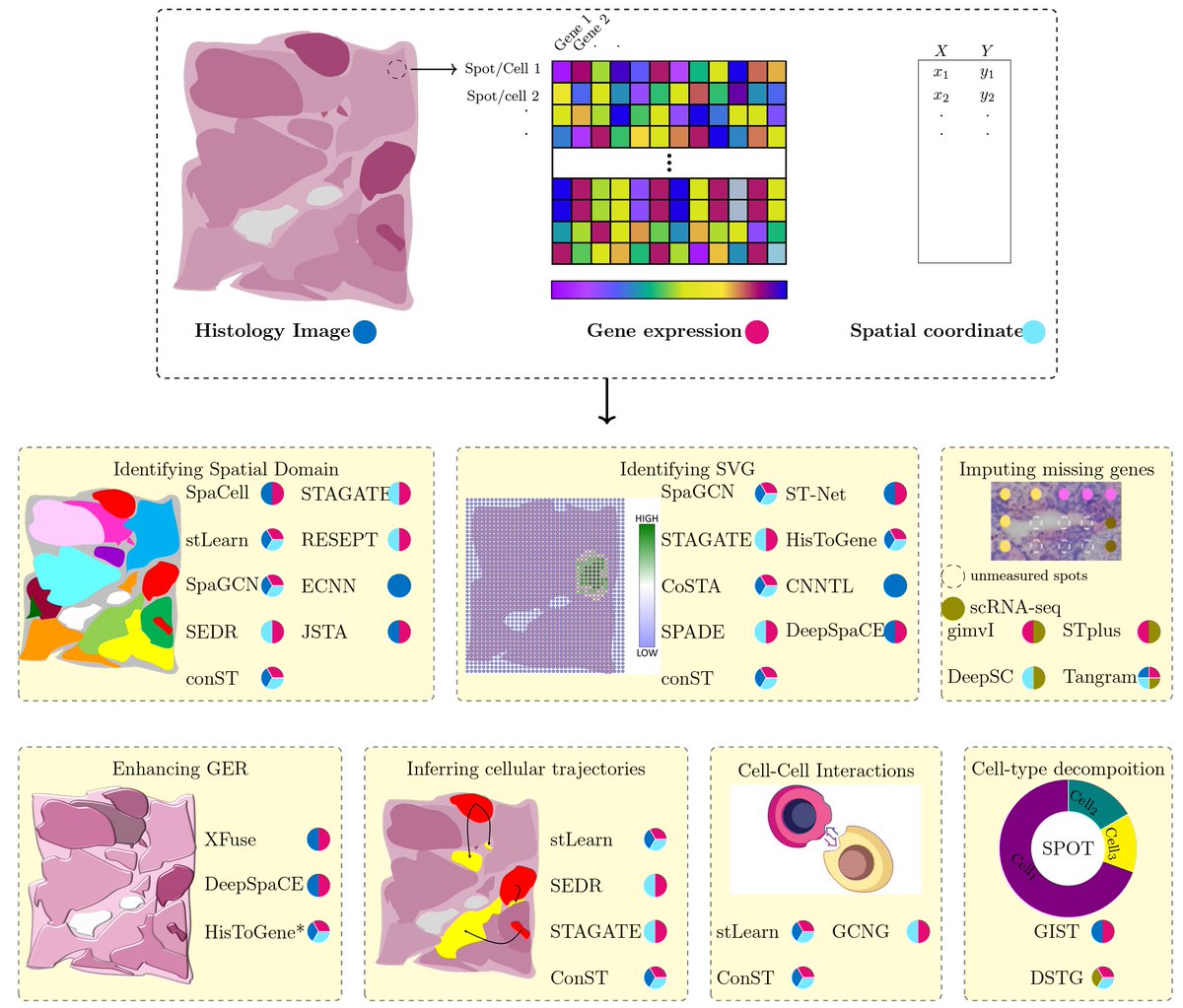 HamidRokny's tweet image. Collectively, more appropriate strategies are still needed for batch effect removal, transformation, overdispersion and zero inflation patterns in the analysis of Spatially Resolved Transcriptomics with Deep Learning techniques.
arxiv.org/abs/2210.04453

#BioMedEng #UNSWscientia