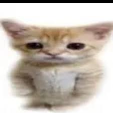 miso554's tweet image. #NewProfilePic