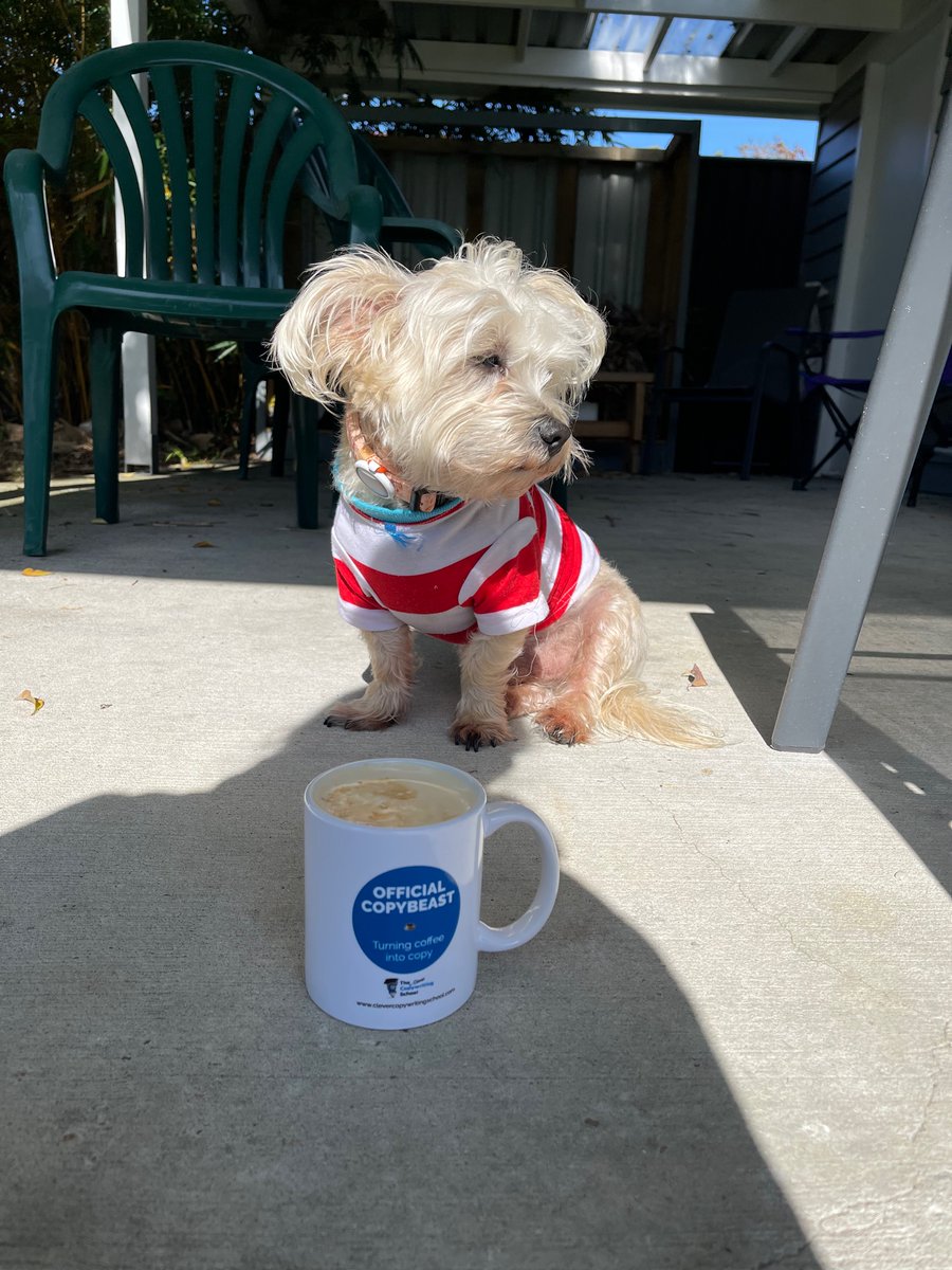 jodadi_o's tweet image. Post #copycon2022 recovery starts with a coffe in the sun. 
An amazing 2 days thanks to @KateToon &amp;amp; @CopywritingSch but now I need to recharge 😍😍