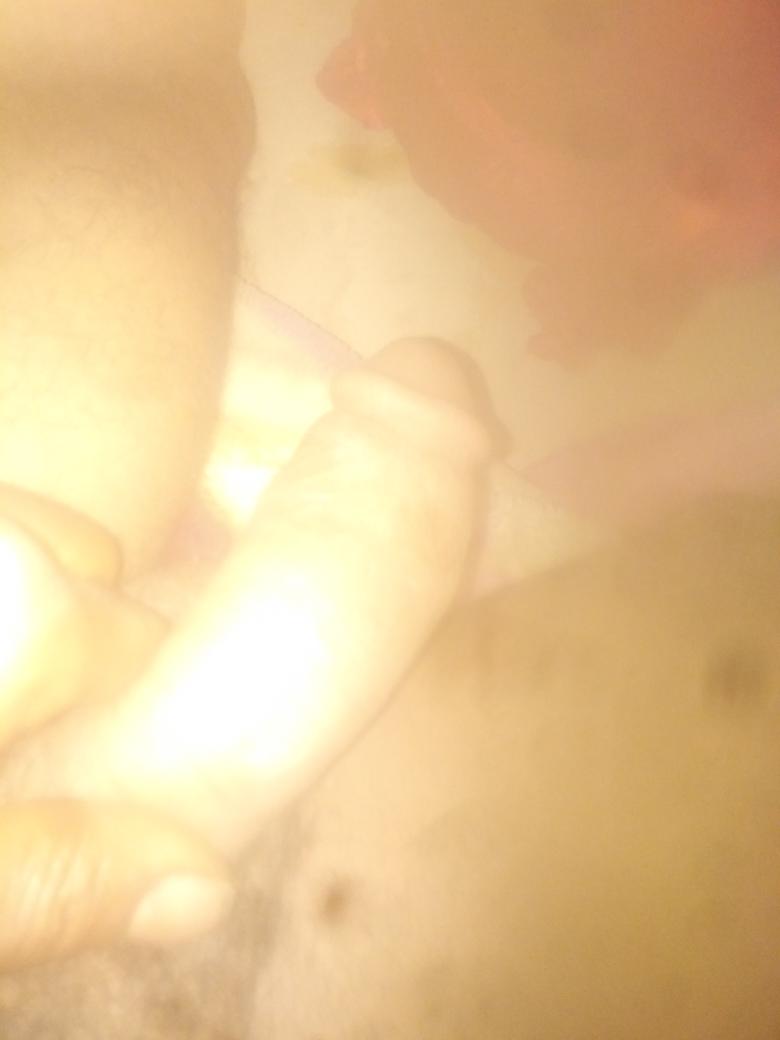 من يحب انيكه يتواصل معي