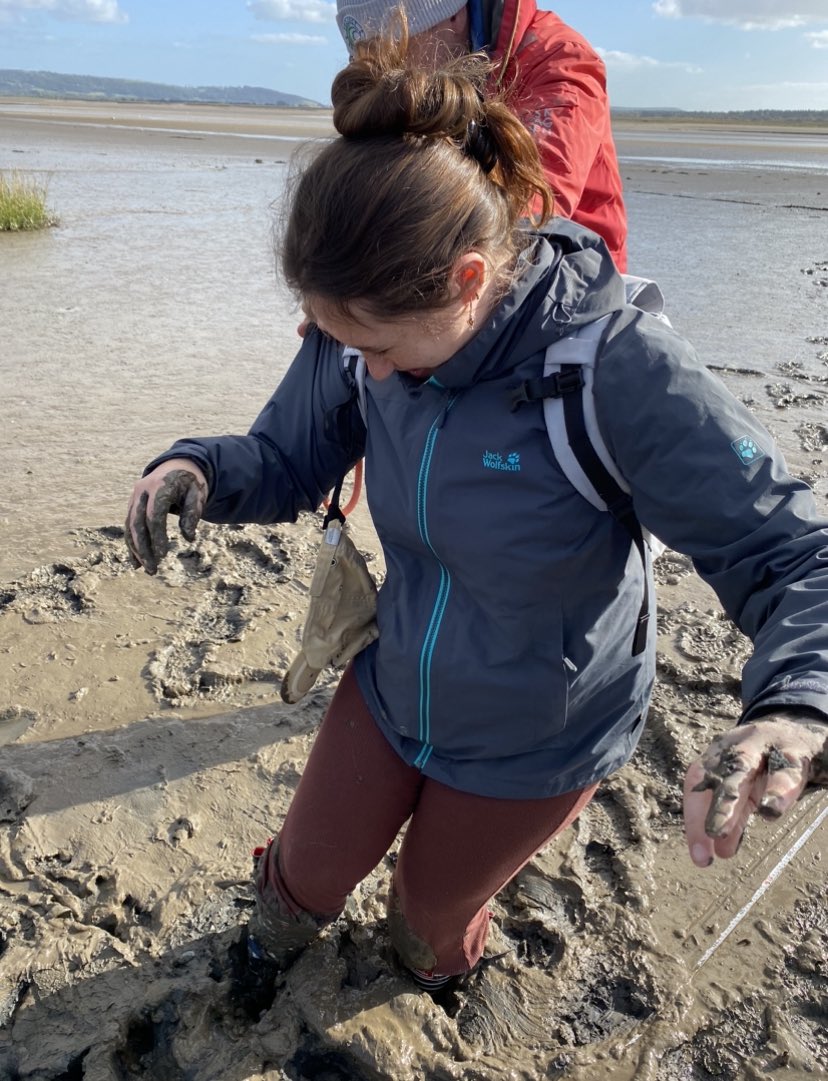 breequine's tweet photo. Think I found my new passion - Biotope Mapping 🌊🐚🐟 @MarineSwansea @EstebanNicole #marinebiology #ilovebiotopes https://t.co/GRxSSlhsfQ