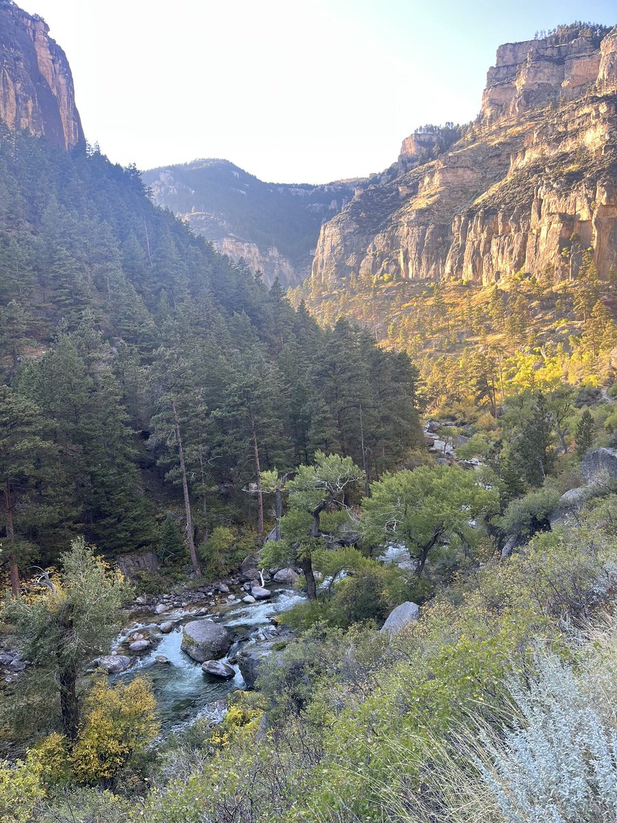kmohatt's tweet photo. Fall in Wyoming 💛🧡💚 https://t.co/wroLNAve9P