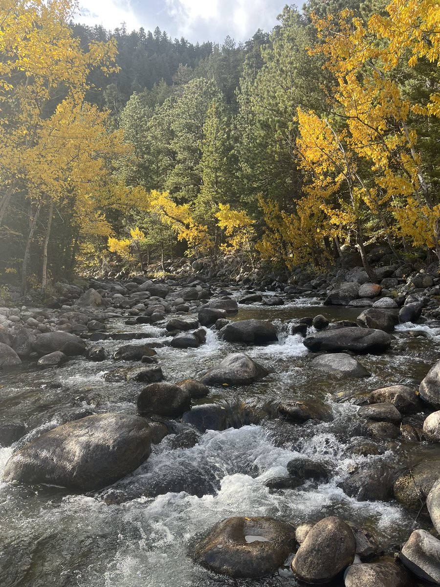 kmohatt's tweet photo. Fall in Wyoming 💛🧡💚 https://t.co/wroLNAve9P