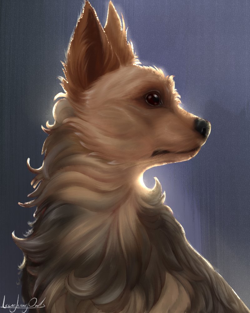 PrancingCrow's tweet photo. pet portrait of a yorkie mix
#Artists https://t.co/ezTPbqrxS1