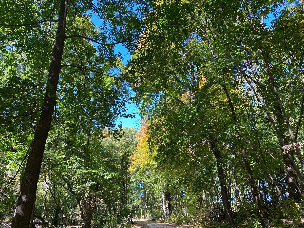 myvisionoflife1's tweet photo. 👉 My Vision of Life Experience #vision #life #lifestyle #explore #experience #nature #madison #wisconsin #usa 🇺🇸 #spactacular #view #nature #naturephotography #sunrise #sunrise_sunset_photogroup #sunrise_and_sunsets #sunriseoftheday #leaves🍁 #leaves #leavesfall https://t.co/0HLqgUlnRK