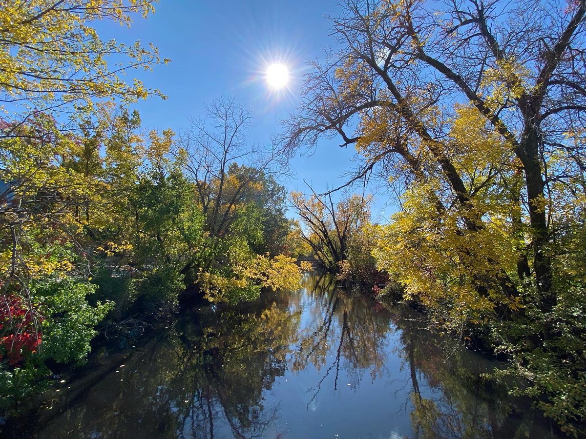 myvisionoflife1's tweet photo. 👉 My Vision of Life Experience #vision #life #lifestyle #explore #experience #nature #madison #wisconsin #usa 🇺🇸 #spactacular #view #nature #naturephotography #sunrise #sunrise_sunset_photogroup #sunrise_and_sunsets #sunriseoftheday #leaves🍁 #leaves #leavesfall https://t.co/0HLqgUlnRK