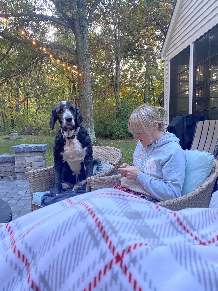 ASchirg's tweet photo. Hayes was cold. Decided to claim a chair! #SpoliedDog https://t.co/hqUE6H77R4