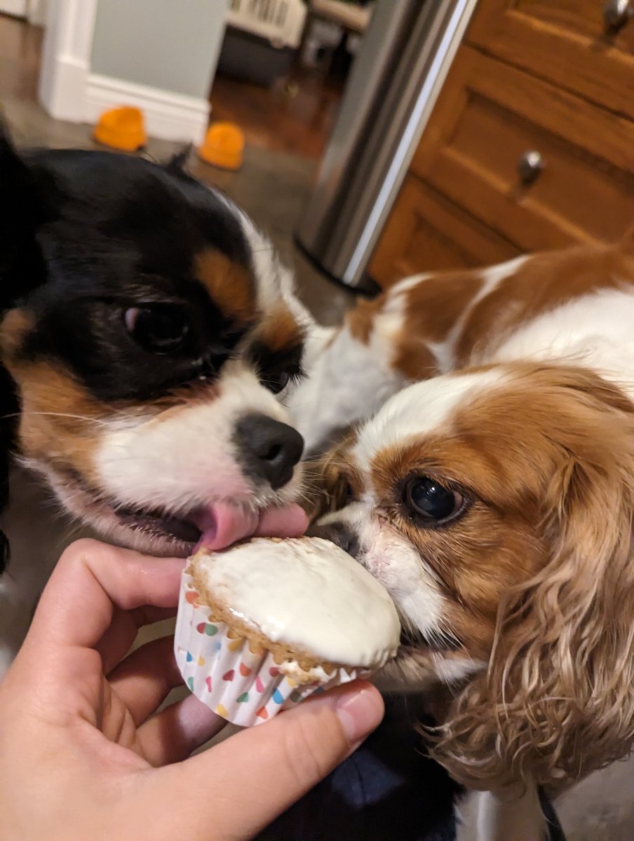 AllieMercerlol's tweet photo. Millie's birthday cupcake https://t.co/cEqYTcxMyj