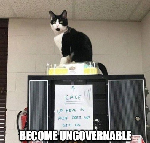 EvelynZickuhr's tweet image. 