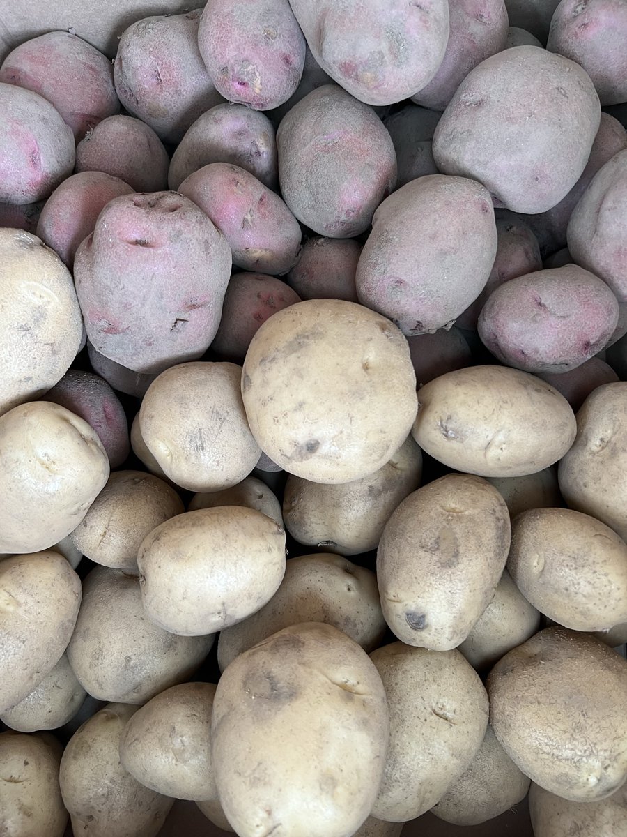 operationecopen's tweet photo. Did you know the average person eats ~2 lbs garlic a year? 🧄😮 Pleased to provide 60.5 lbs to @FTNDurham tomato 🍅 garlic 🧄 squash 🎾 potatoes 🥔 last month 😀 https://t.co/LXIOI55KyZ