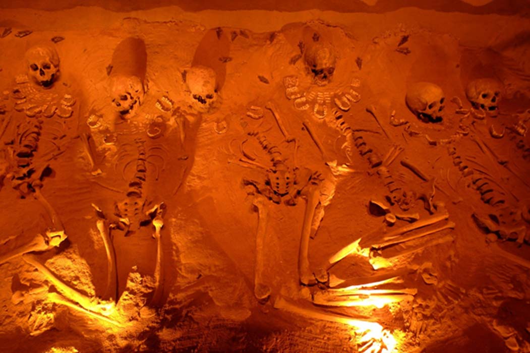 ancientorigins's tweet photo. Ancient Anomalous Human Skeletons: Humanity Could be Much Older Than We Think https://t.co/xuo3ImrZA6 https://t.co/C1aDfXlogk