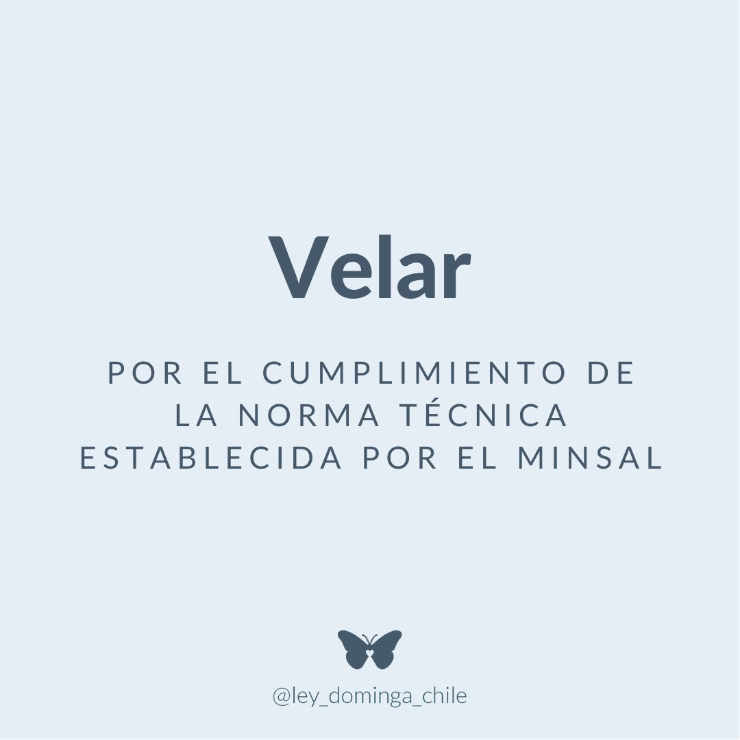 Desde hoy somos Fundación Ley Dominga y estos son nuestros objetivos