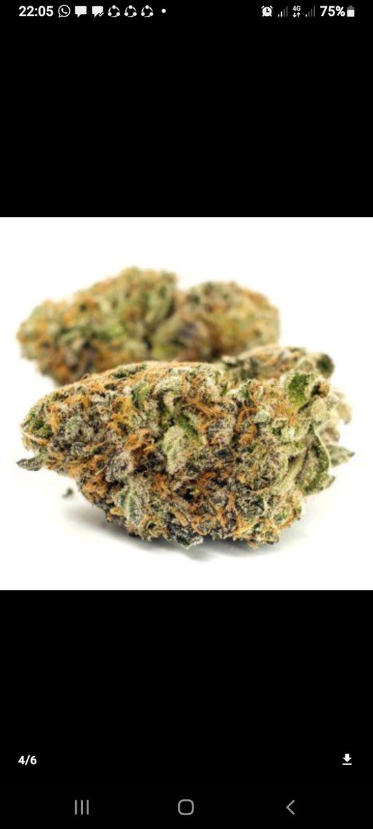 95Sbeezy's tweet photo. If Your Girlfriend Says Stop Smoking Weed, What Would You Do!!?

Keep Her Or Keep Rolling!!! https://t.co/DqGuxF41UA