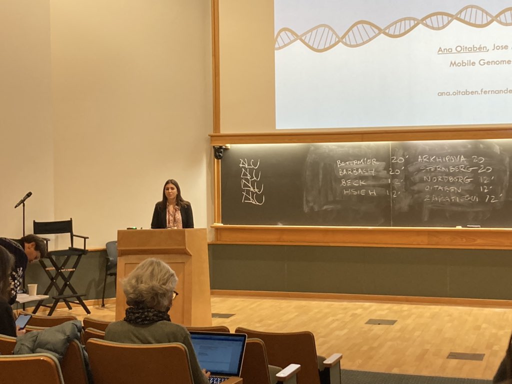 MobileGenomes's tweet photo. Talk by MobileGenomes’ PhD student @anaoitaben_ in the 2022 Transposable Elements Conference at @CSHL about the impact of somatic retrotransposition on the 3D cancer genome https://t.co/N1fCZ0PJ9Y