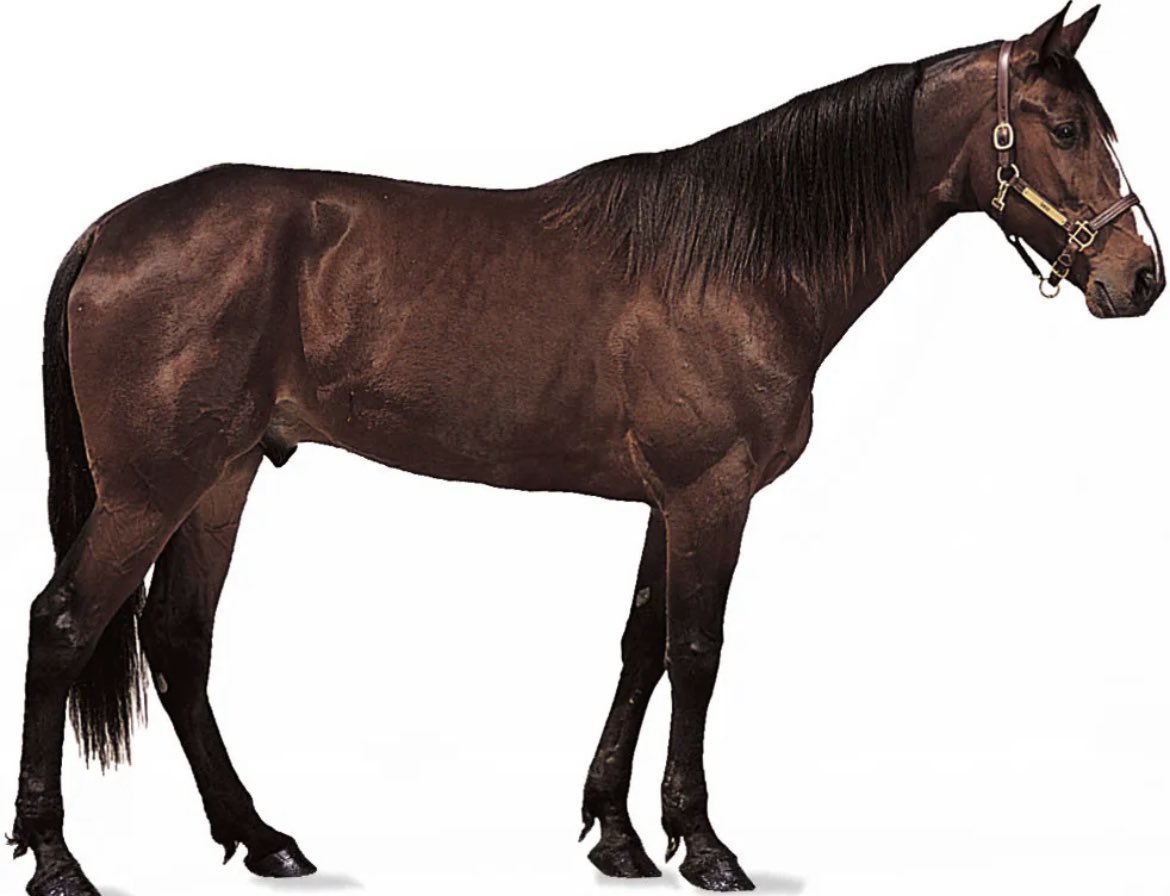 Live look at every <a href="/Vol_Football/">Tennessee Football</a> fan in Neyland rn