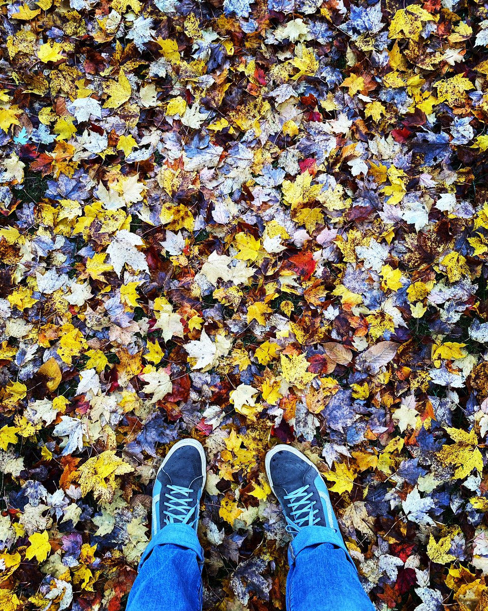 jeremiahdmd's tweet photo. #AutumnVibes in Vermont. https://t.co/pUq1xzkEAi