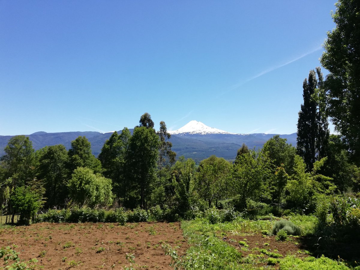Geoparque Kütralkura tweet media
