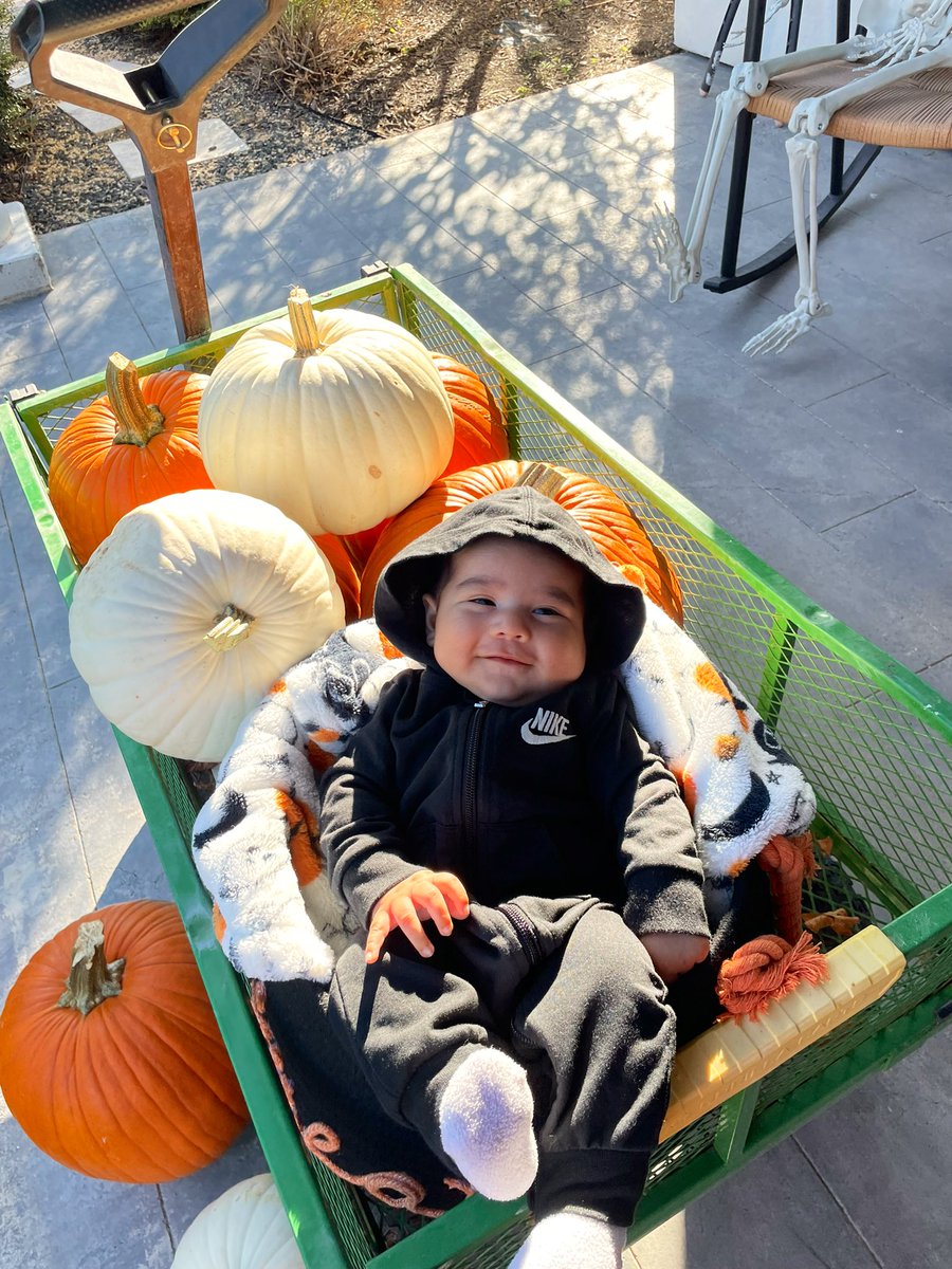 Alexa_Ortega_'s tweet photo. 🎃🧡 https://t.co/OZ5mdaUhNy