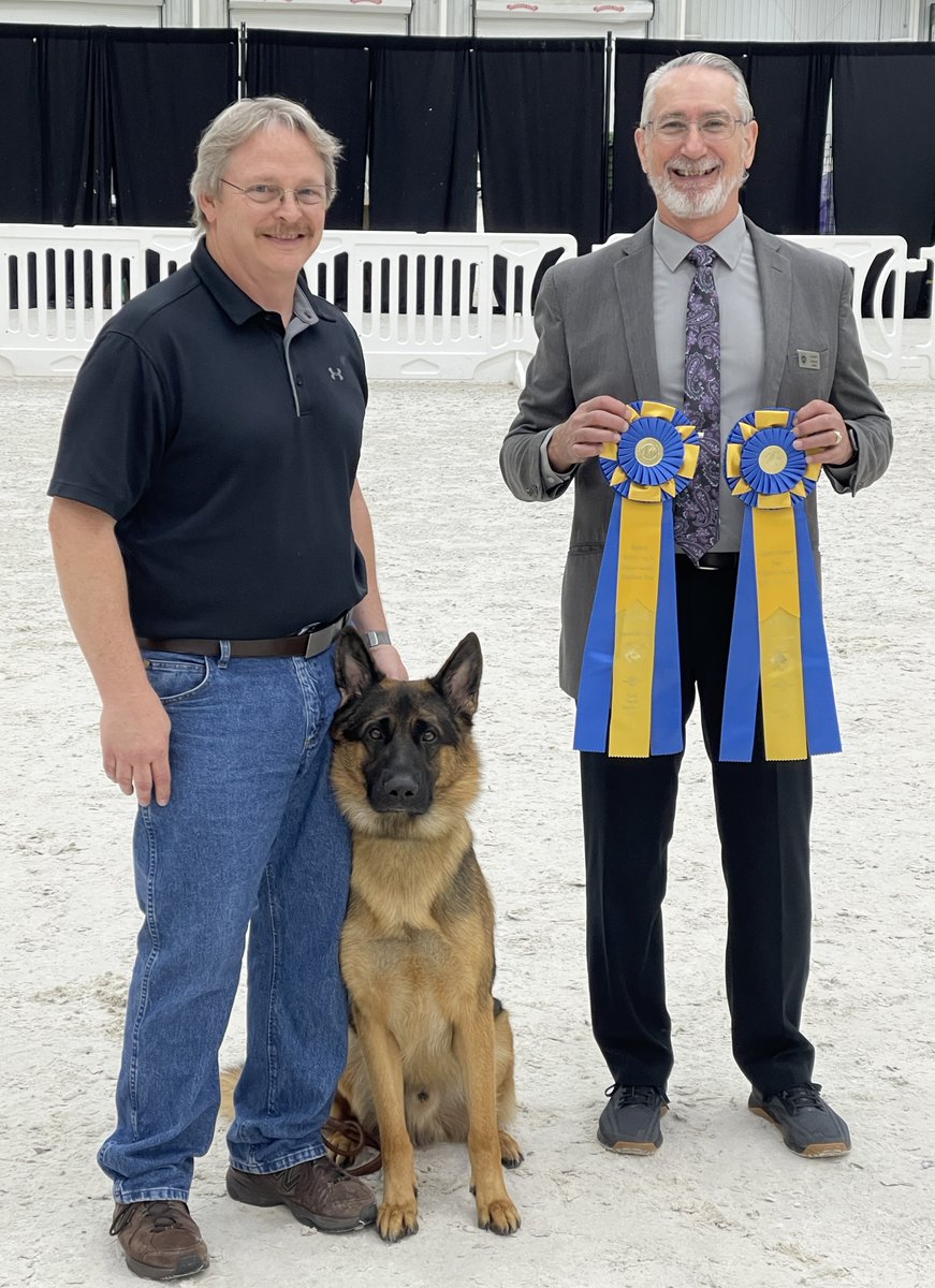 Gunnar_GSD's tweet photo. Dad &amp; I are in Ocala, FL for the GSD Club of America's National show this week &amp; I was extra good! We placed 1st all 3 days in both Novice B &amp; Preferred Novice, &amp; I was the High in Trial for the regular and preferred classes! Dad is very proud of me!   #dogsoftwitter https://t.co/eLujq2XteU