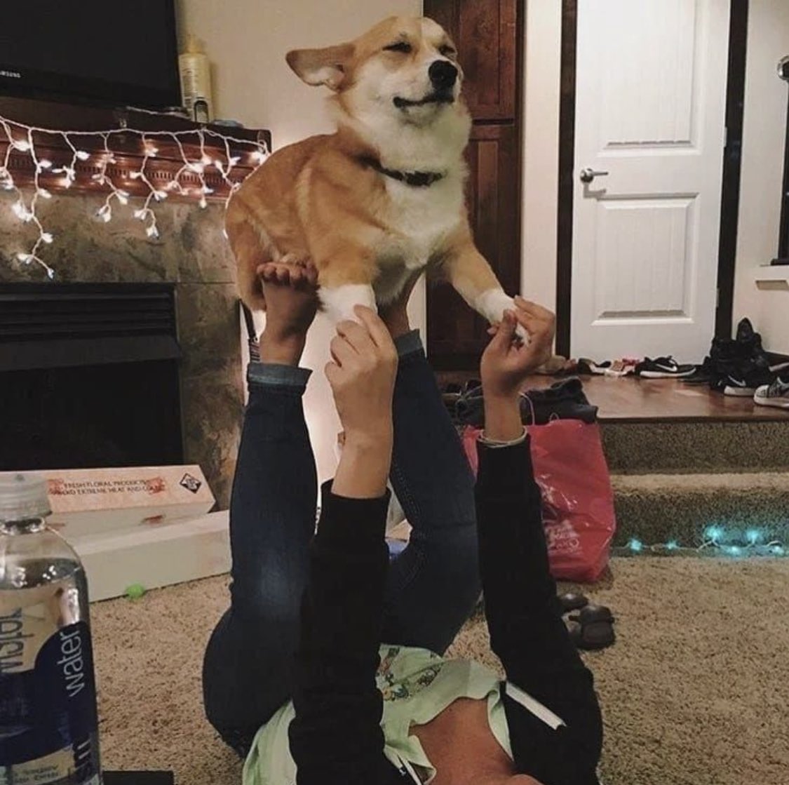 Peter Cardwell (petercardwell) / Twitter