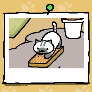 バリバリバリバリ

 #ねこあつめ 