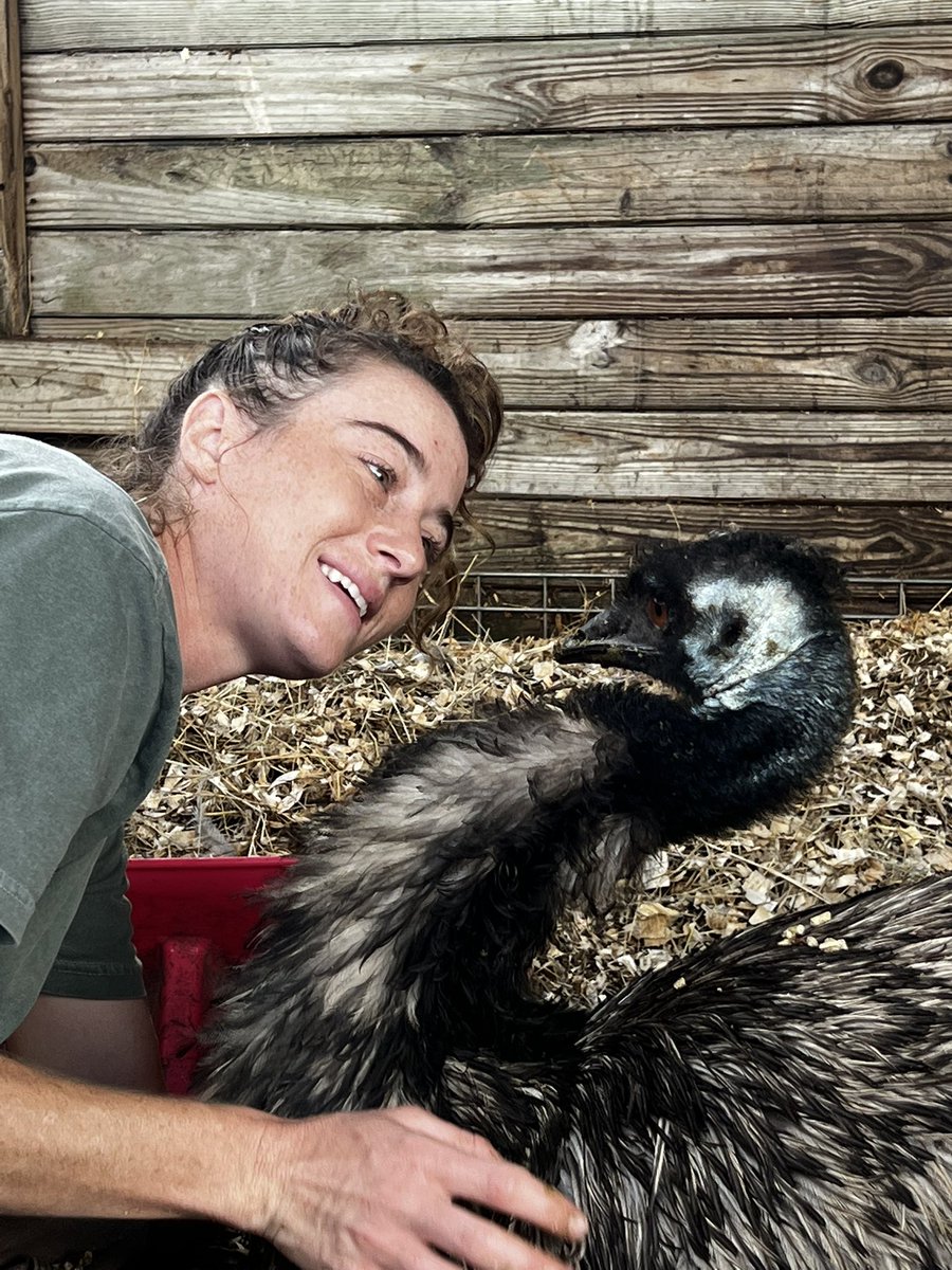 hiitaylorblake's tweet image. It seems like I haven’t been able to catch a break these past few months, but I am so incredibly blessed. I have so much gratitude in my heart that Emmanuel is still alive. That he is fighting. That my best friend is making a comeback. I am going to be ok, we are going to be ok!