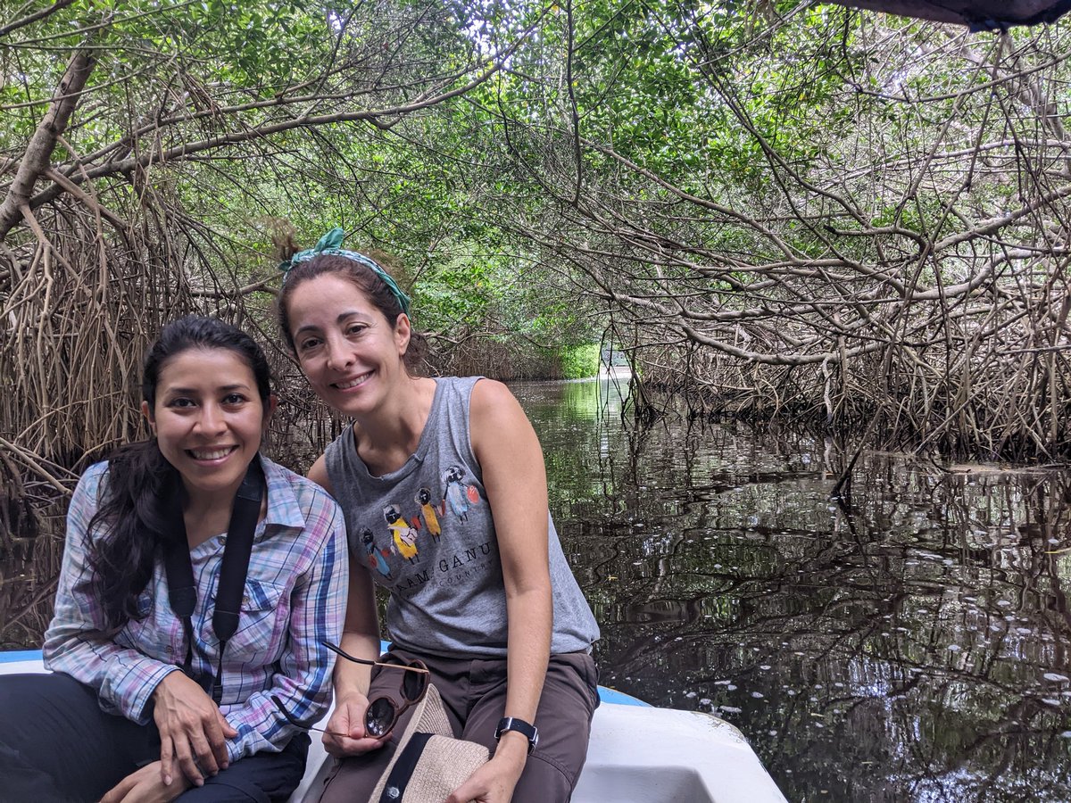 @globalwetlands is in Yucatan, Mexico! Learning on how and where to do successful mangrove restoration projects, with @JaramarV