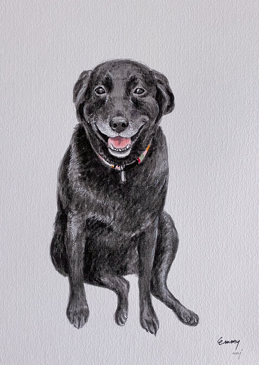 Emmy has many expressions on her face. I chose this for her commission portrait because this cute face makes me smile and happy. 
<a href="/EmmyBear_LabLuv/">Emmy</a> 

#dogart #dogoftwitter #dogportrait 
Instagram @chellejung_draws
** Please message or email me for commission work. **