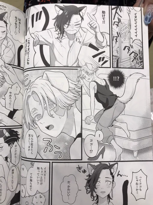 新刊の仕上がり確認しました!こんな感じです〜
劣化ほとんど気にならなくてよかった😢
見本誌は置いておきますのでお気軽にご確認ください 