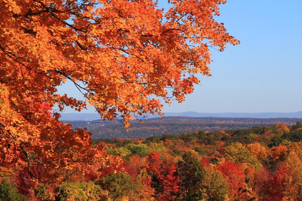 lynnsferrazza1's tweet photo. #MaryEdwardsMountainProperty Spectacular color and views! #GranbyCt #fall #Views #trees #foliage #TwitterNatureCommunity #fallinconnecticut @petermarteka @JPM_Mattai @TaniBergeron @Grahampoo https://t.co/BJE8HTBRRL
