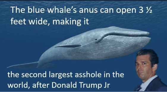 rbisrb's tweet photo. Today's "Did You Know?"... https://t.co/dJq0Bc9eTz