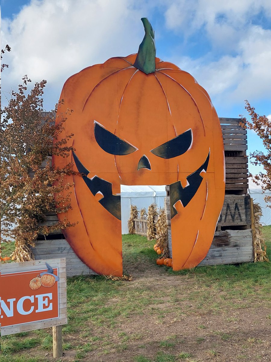 Theundeadmadman's tweet photo. So went pumpkin picking @OverFarmMarket yesterday and was great, staff were super friendly and explained everything that was needed to know on entry
£4 per person which is very reasonable and the pricing system for the pumpkins was well thought out definitely going back next year https://t.co/1SAAvdLWcF