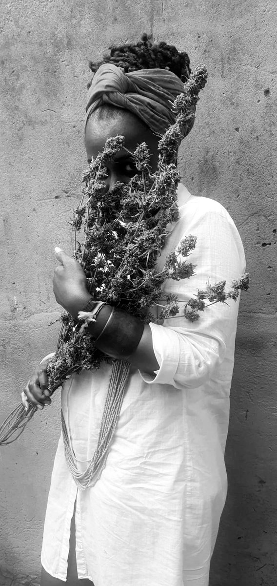 Nosipops's tweet photo. Flowers are a girls best friend. Spring has Sprung. For the love of #MJ #Mmemberville #StonerMom #CannabisCommunity #CannaMom 
#StonerFam #stonerchicks #420babe #Mmemberville #420Life https://t.co/qqSg7ZeTB8