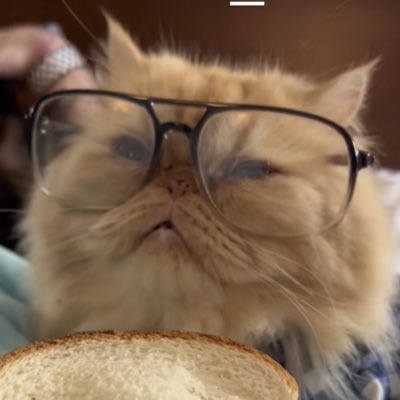 datsmeUnique's tweet photo. #NewProfilePic https://t.co/hx1hNYwoZo